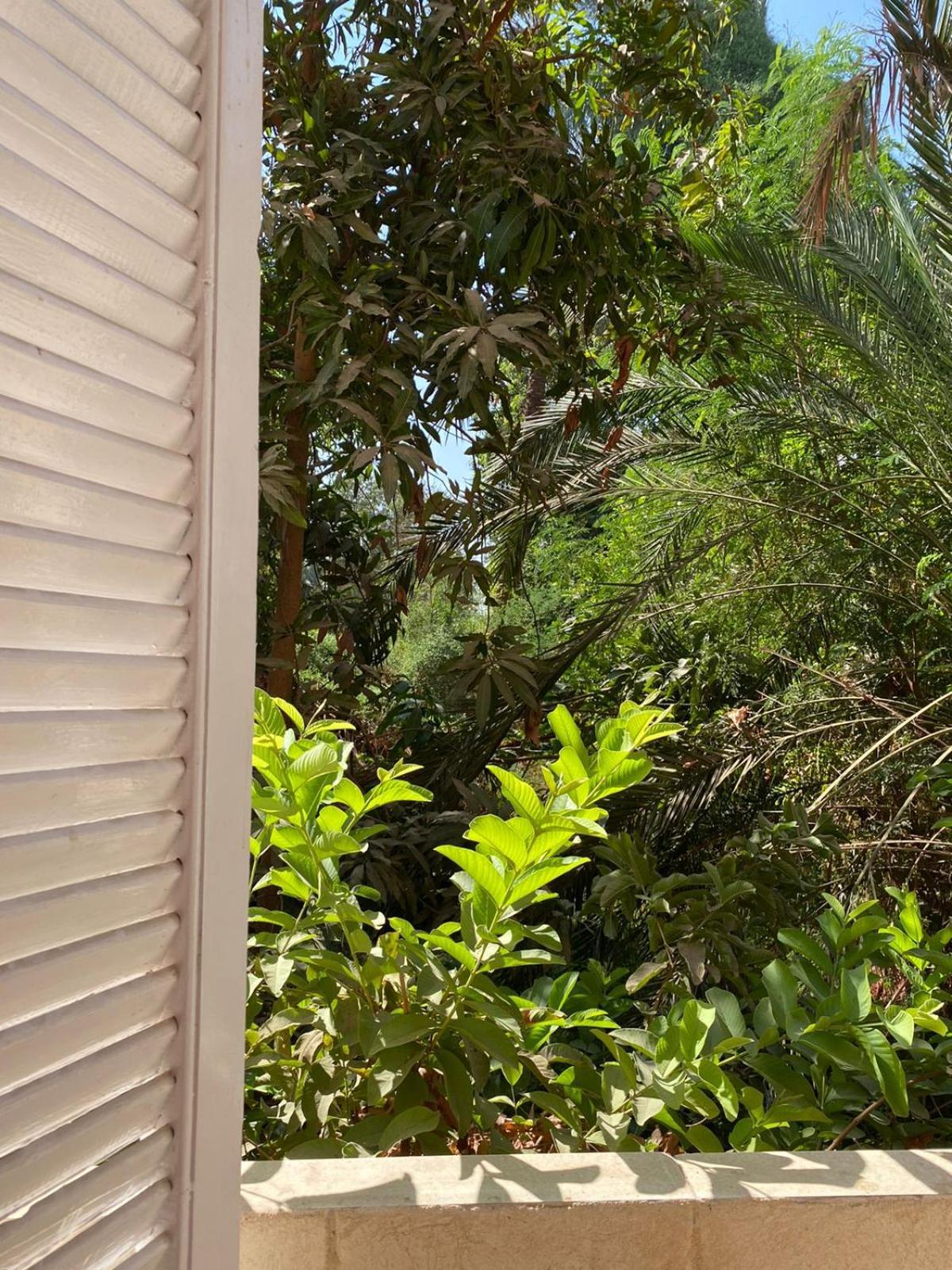Abu Guest House Assuan Esterno foto
